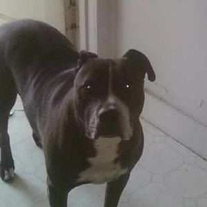 Meet your Posher, Juan